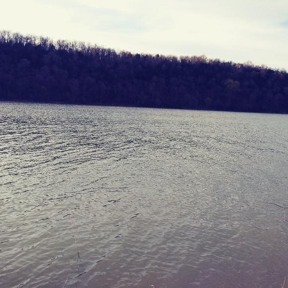 Meet your Posher, Cassie - Picture 1 of 1